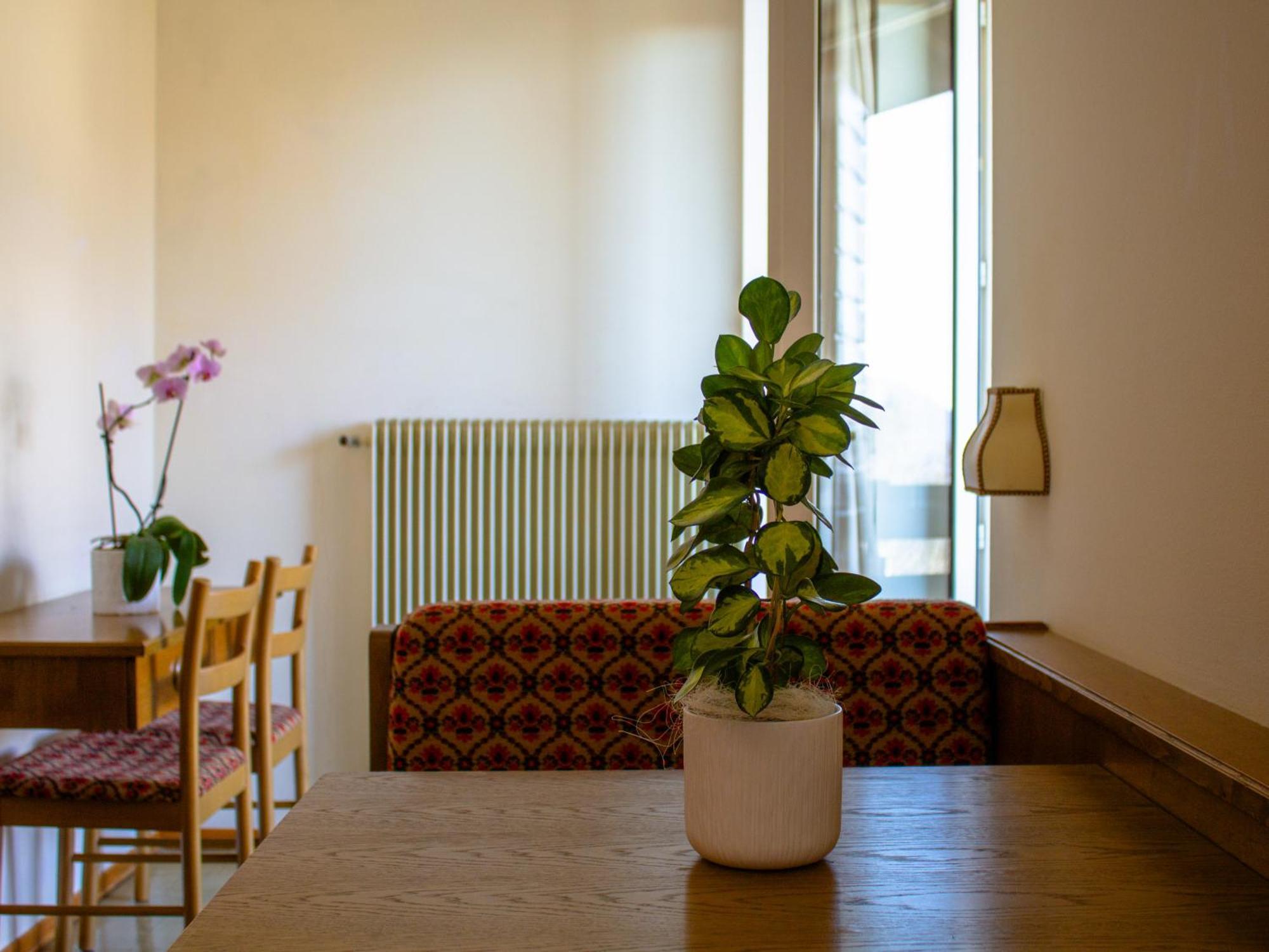 Locanda La Ruscoletta Telve Екстериор снимка
