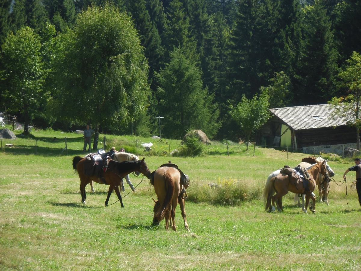 Locanda La Ruscoletta Telve Екстериор снимка